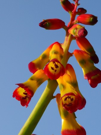 f:id:fujitam3:20120310092424j:image
