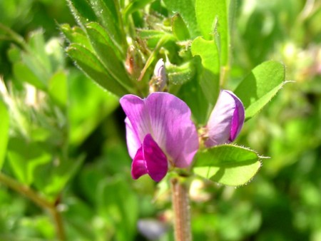 f:id:fujitam3:20120405195819j:image