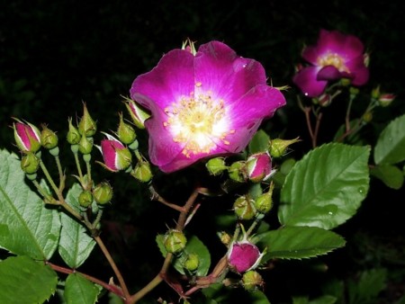 f:id:fujitam3:20120430202726j:image