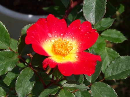 f:id:fujitam3:20120503205713j:image