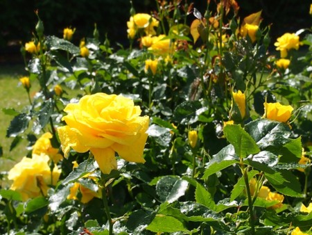 f:id:fujitam3:20120503205714j:image