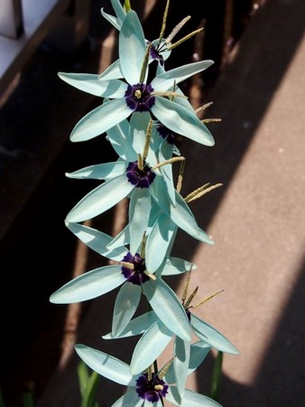 f:id:fujitam3:20120505141000j:image