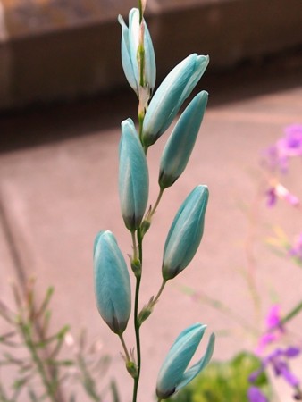 f:id:fujitam3:20120506094924j:image