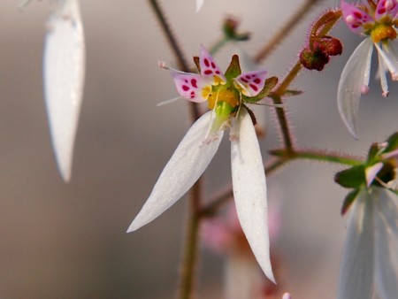 f:id:fujitam3:20120527183559j:image