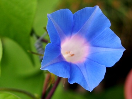 f:id:fujitam3:20120707200305j:image