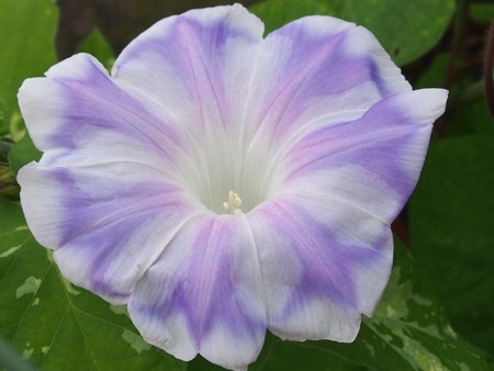 f:id:fujitam3:20120707200306j:image