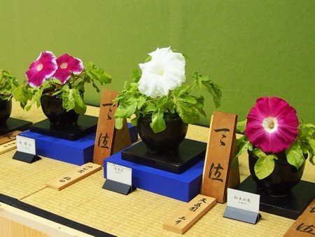 f:id:fujitam3:20120728224034j:image