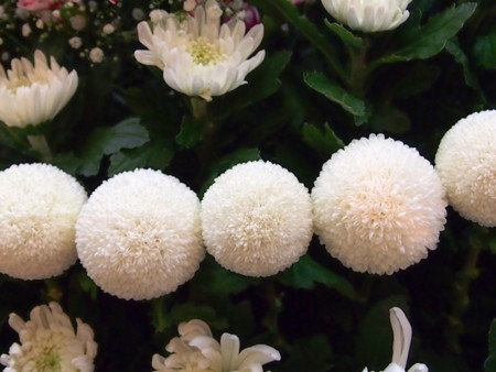 f:id:fujitam3:20120923003410j:image