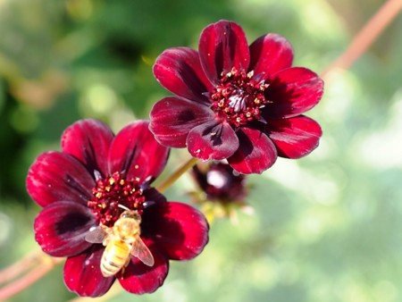 f:id:fujitam3:20121101214755j:image