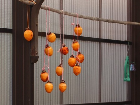 f:id:fujitam3:20121123165344j:image