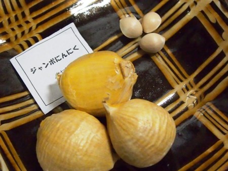 f:id:fujitam3:20121126214305j:image