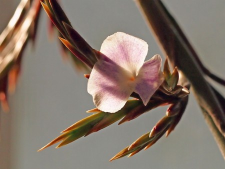 f:id:fujitam3:20130203102842j:image