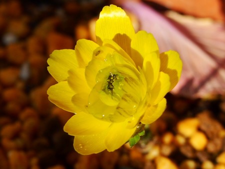 f:id:fujitam3:20130203102843j:image