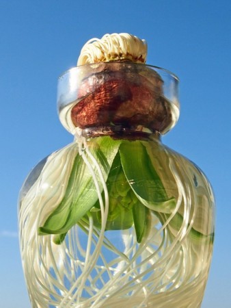 f:id:fujitam3:20130203102844j:image