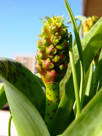 f:id:fujitam3:20130203102846j:image