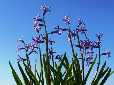 f:id:fujitam3:20130203102847j:image