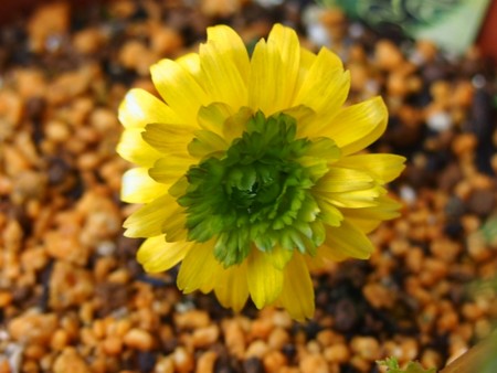 f:id:fujitam3:20130223082555j:image