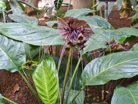 f:id:fujitam3:20140412002316j:image