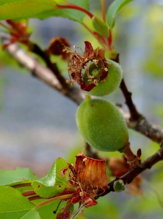 f:id:fujitam3:20140415205301j:image