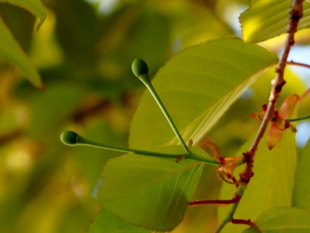 f:id:fujitam3:20140415205302j:image