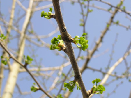 f:id:fujitam3:20140416235749j:image