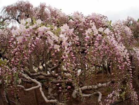 f:id:fujitam3:20140420224135j:image