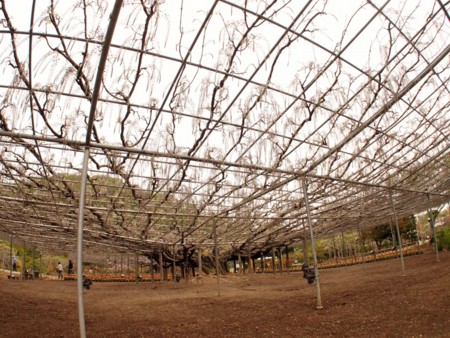 f:id:fujitam3:20140420225954j:image