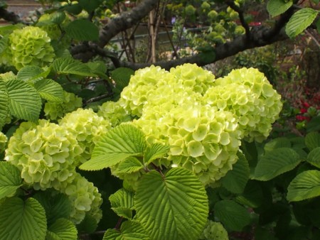 f:id:fujitam3:20140421233113j:image