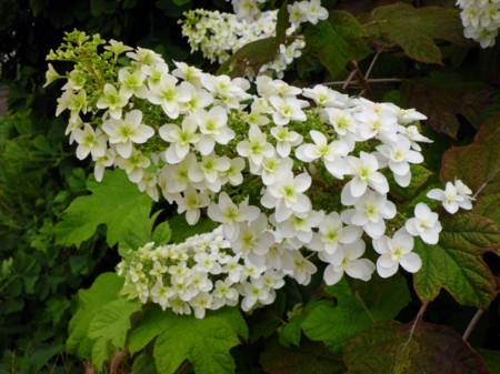 20140603204656