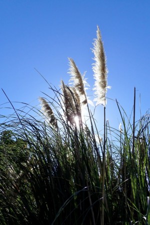 f:id:fujitam3:20141203223528j:image