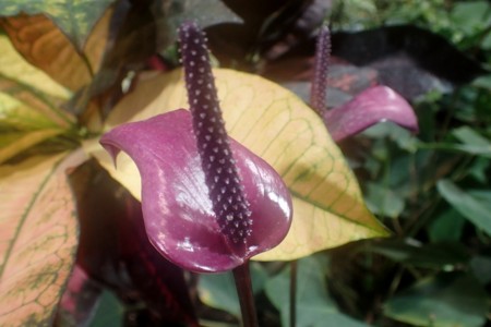 f:id:fujitam3:20150206234348j:image