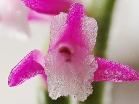 f:id:fujitam3:20150704234533j:image