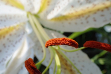 f:id:fujitam3:20150712140930j:image