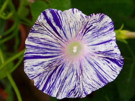 f:id:fujitam3:20150717065602j:image