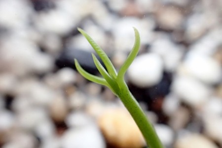 f:id:fujitam3:20150718090412j:image