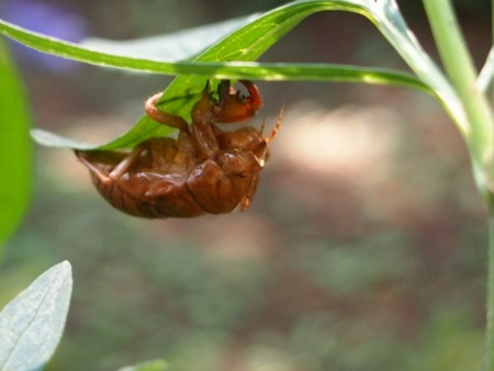 f:id:fujitam3:20150720110305j:image