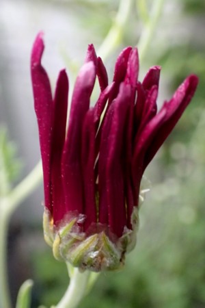 f:id:fujitam3:20151029220508j:image