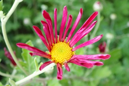 f:id:fujitam3:20151031065407j:image