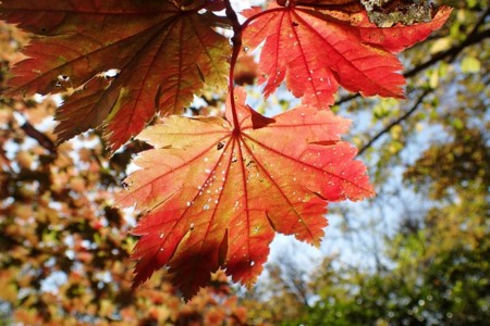 f:id:fujitam3:20151101130230j:image