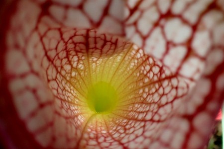 f:id:fujitam3:20151106213256j:image