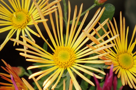 f:id:fujitam3:20151107083317j:image