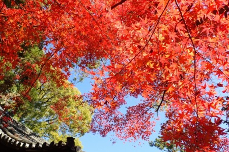 f:id:fujitam3:20151209215752j:image