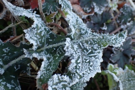 f:id:fujitam3:20151229085154j:image