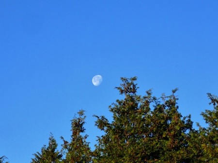 f:id:fujitam3:20151229085155j:image