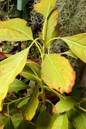 f:id:fujitam3:20160124205632j:image