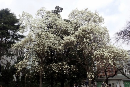 f:id:fujitam3:20160308230314j:image