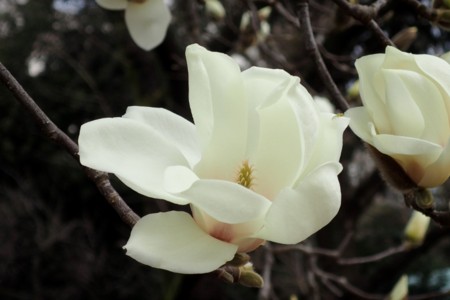 f:id:fujitam3:20160308230315j:image