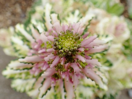 f:id:fujitam3:20160310001944j:image