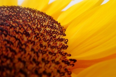 f:id:fujitam3:20160703083030j:image