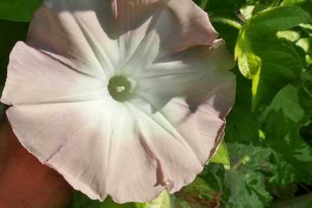 f:id:fujitam3:20160712223414j:image